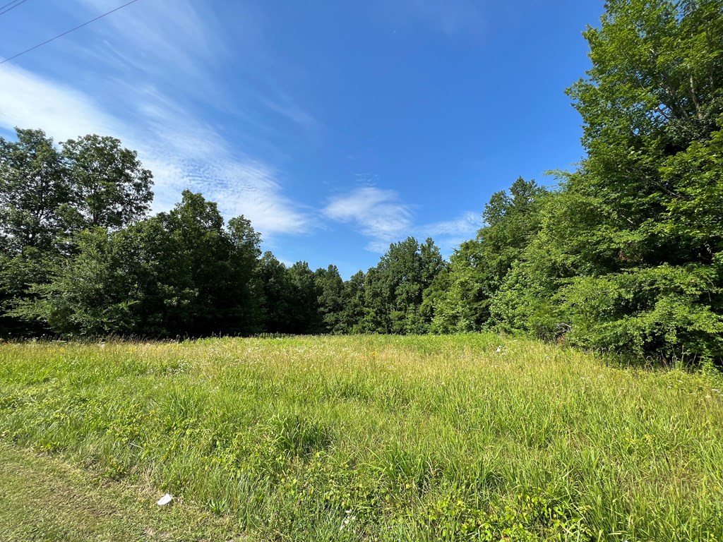 15 Acres Lower Liberty Road Property Photo 2