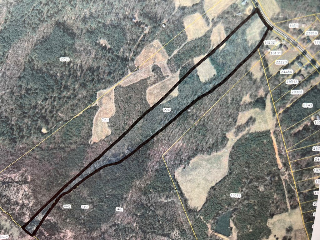 15 Acres Lower Liberty Road Property Photo 3