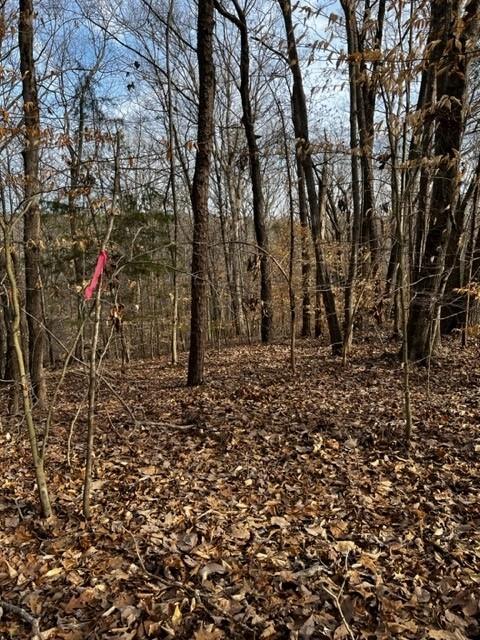 Lots 16 Cayuga Lane Property Photo 1