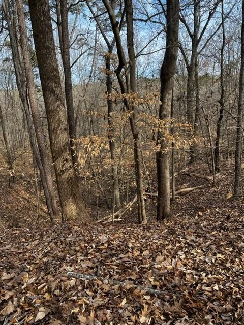 Lots 16 Cayuga Lane Property Photo 3