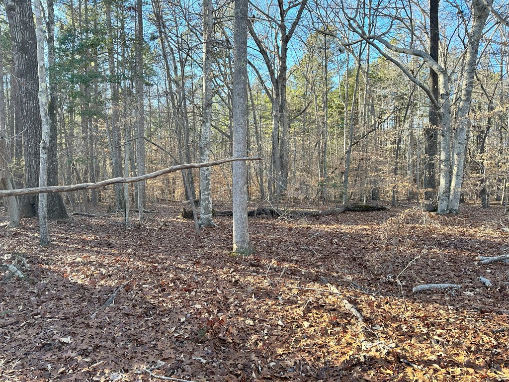 9968 Lakeside Terrace Property Photo 7