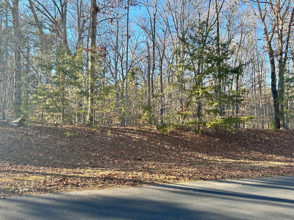 9968 Lakeside Terrace Property Photo 8