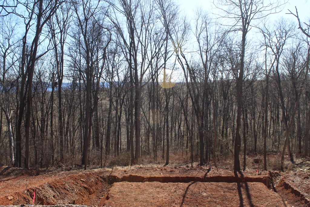 1450 Graveltown Road Property Photo 12