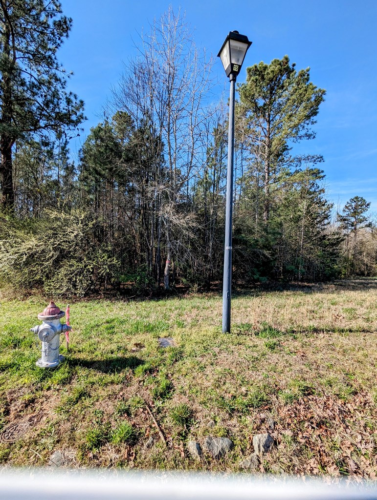Lot 21 Grace Stone Drive Property Photo 2