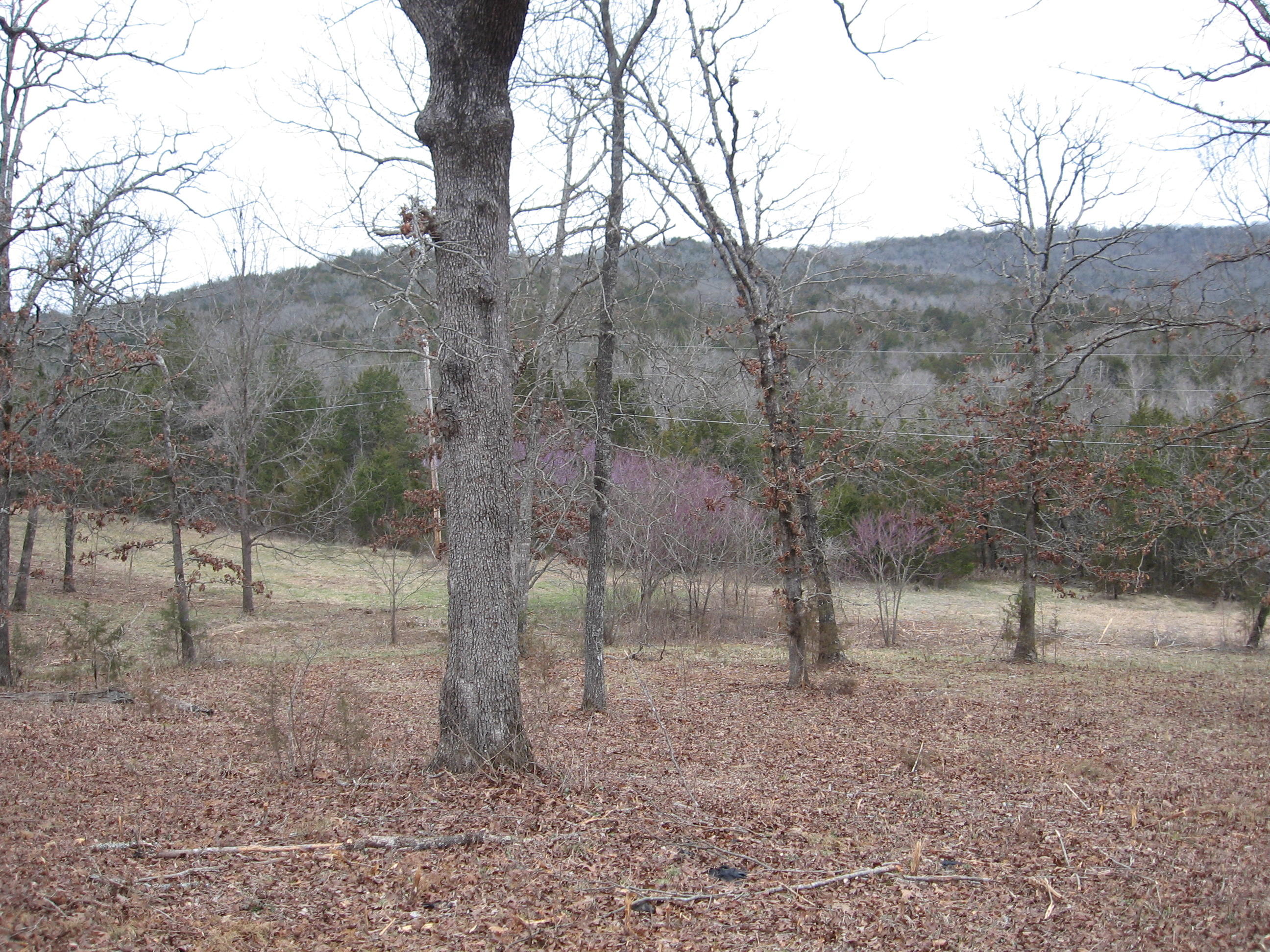 Tbd Irish Hills Boulevard Property Photo 1