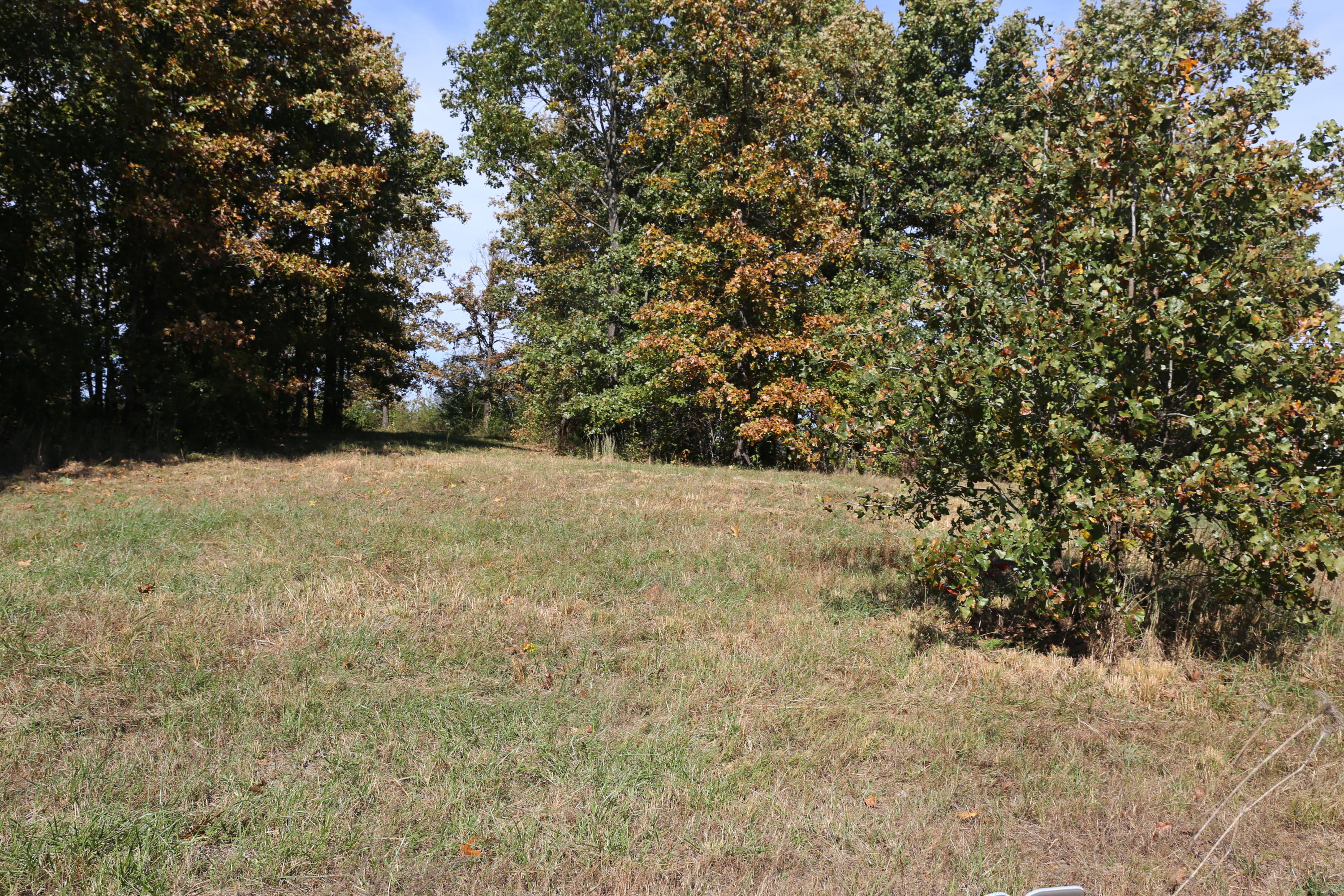 000 Wild Turkey Road Block 1 Lot 5 Property Photo