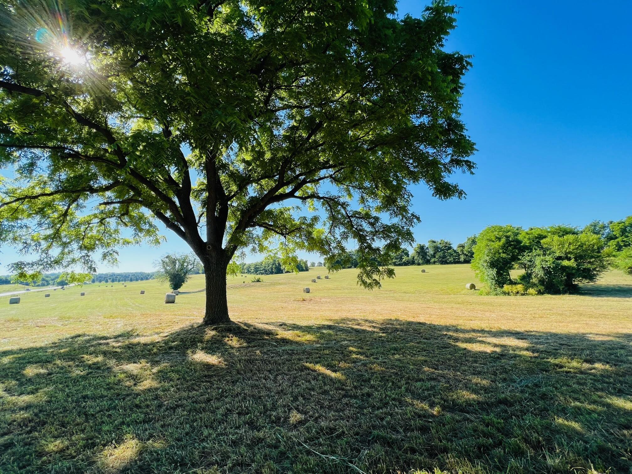 3830 East Division Street Property Photo