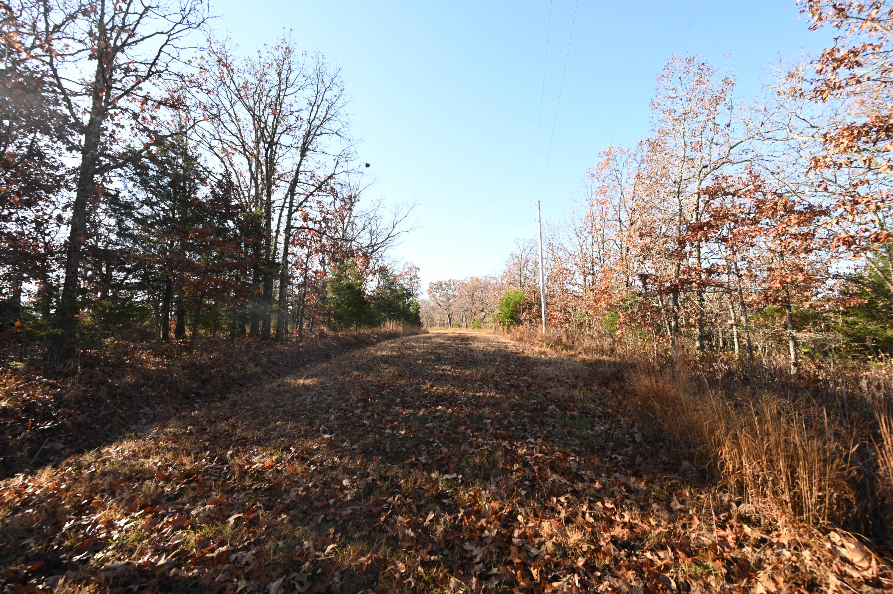 0000 Bradley Lane Property Photo