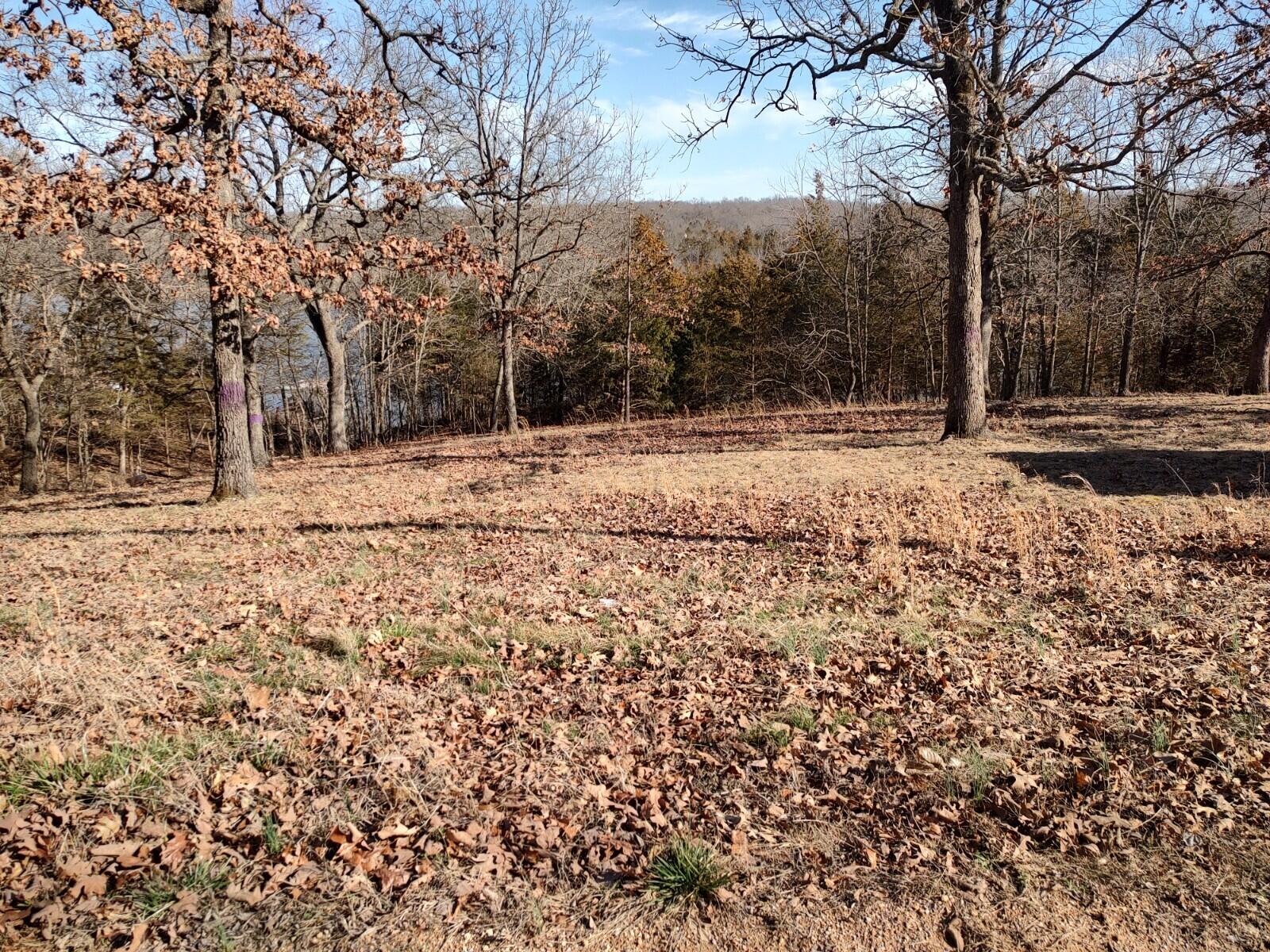 000 Reynard's Circle Lot 12 Property Photo