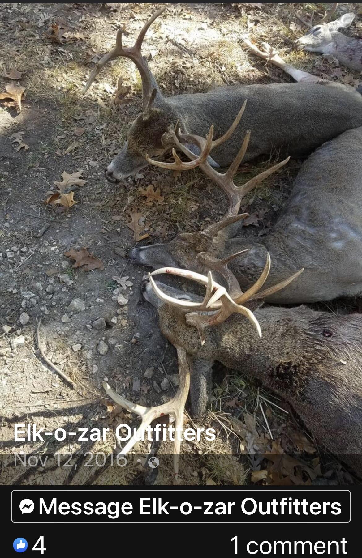 248 Elk O Zar Road Property Photo 61