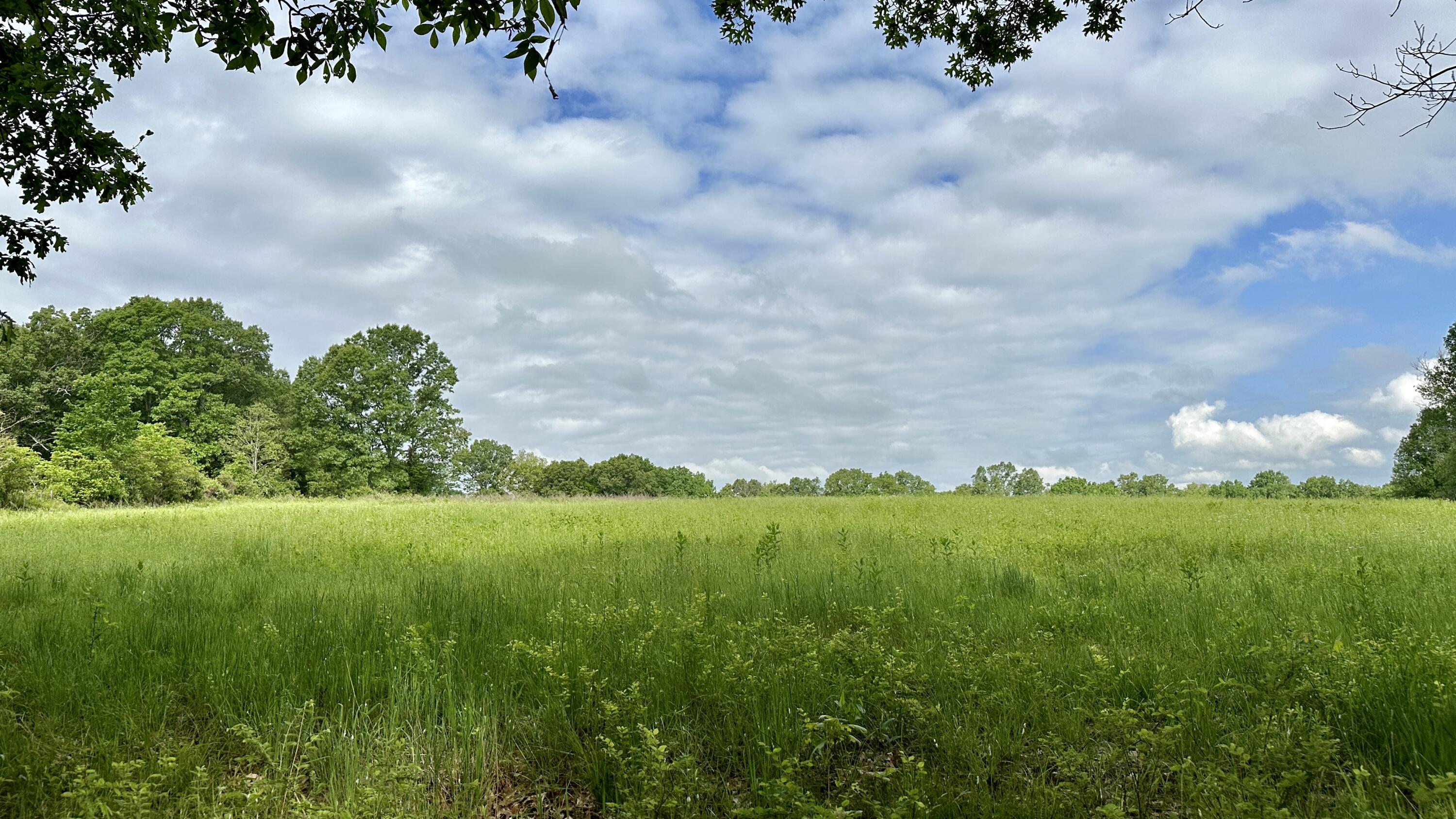 Tbd County Road 312 Property Photo