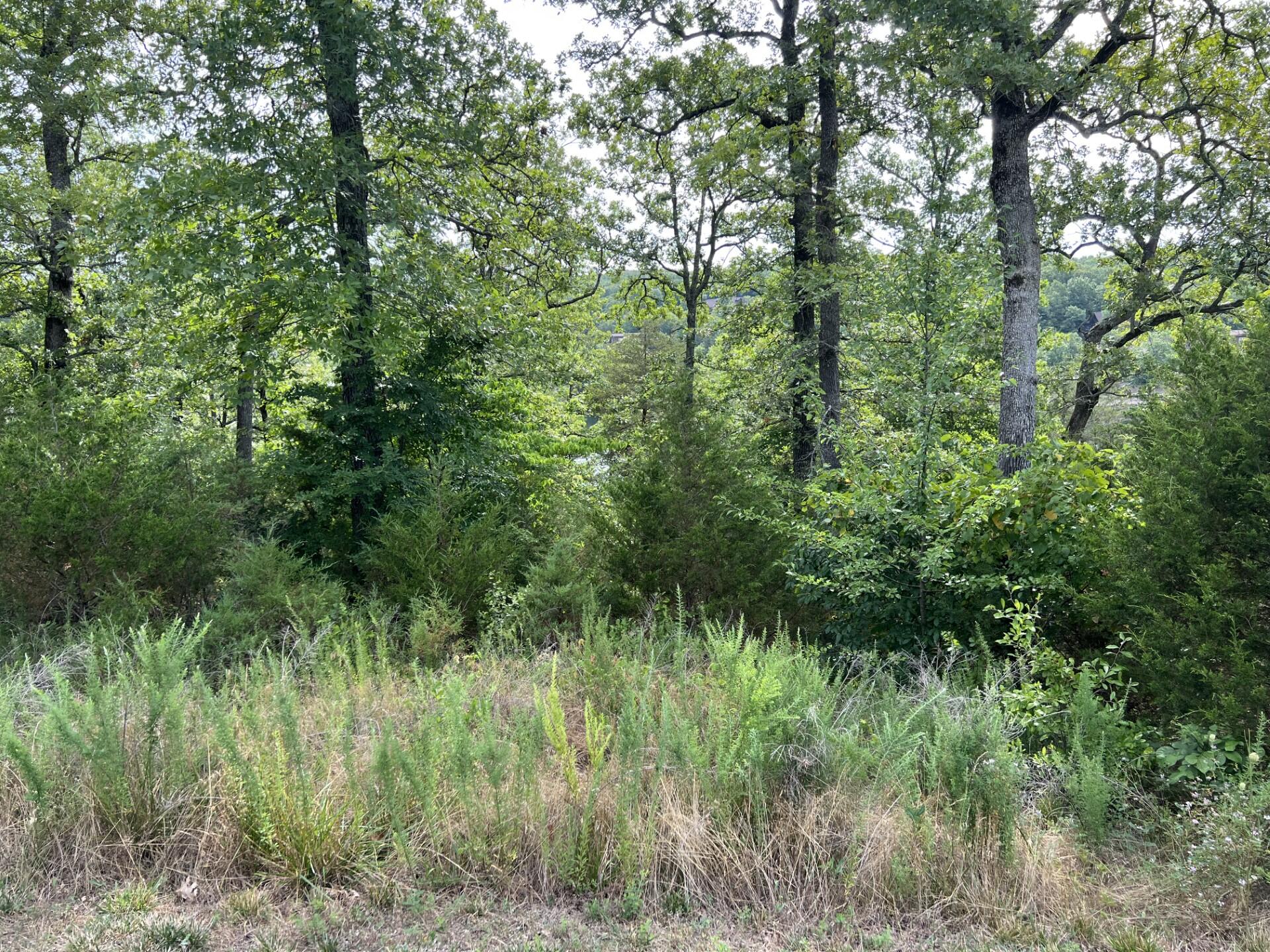 Lot 247 Blue Lake Trl Property Photo