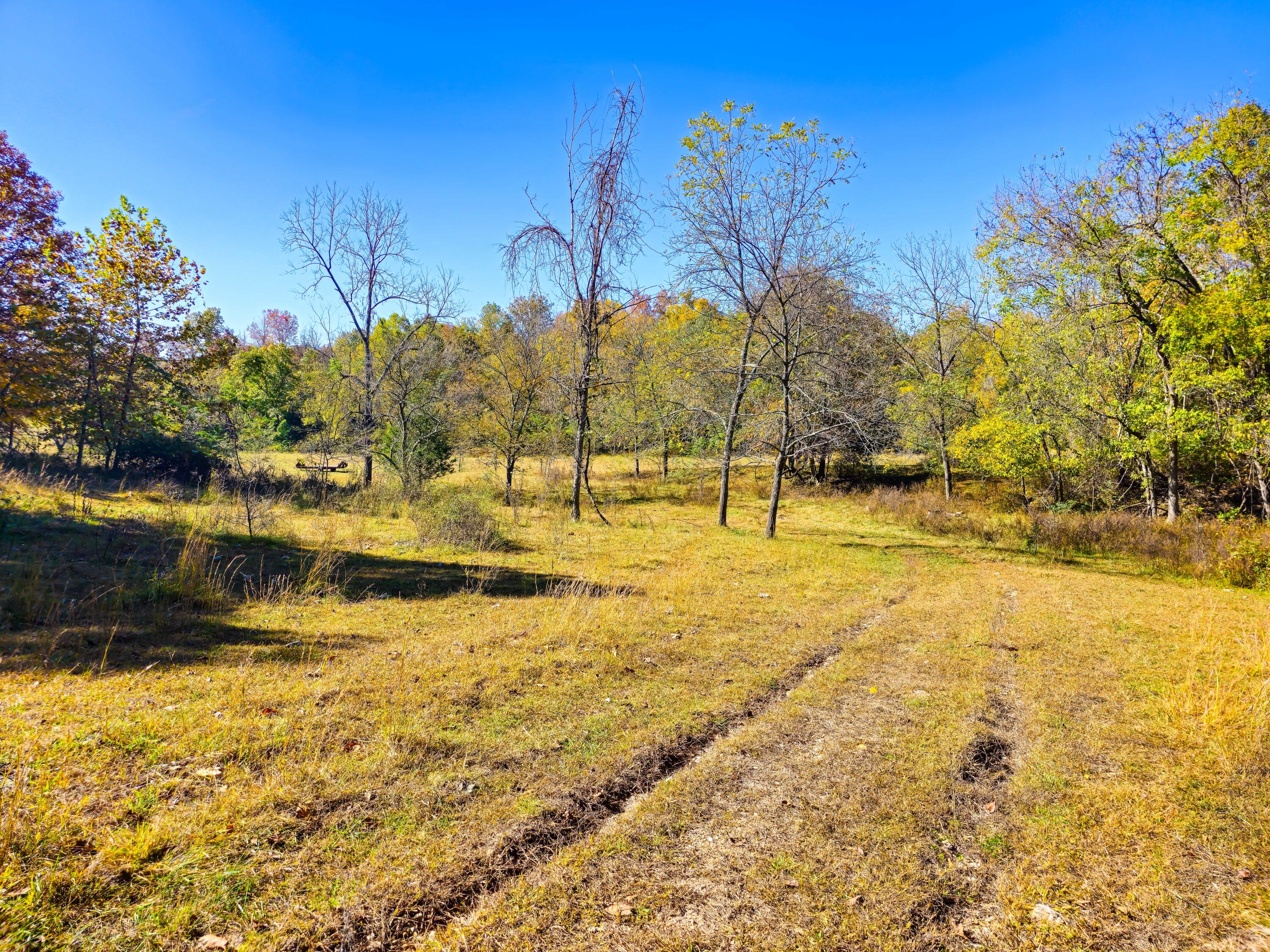 000 County Road T-541 Property Photo 1