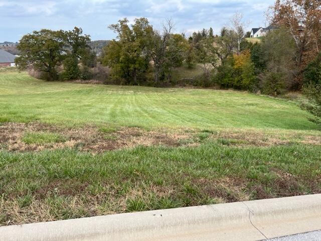 000 Lot 22 Phase 2 Tuscany Hills Property Photo