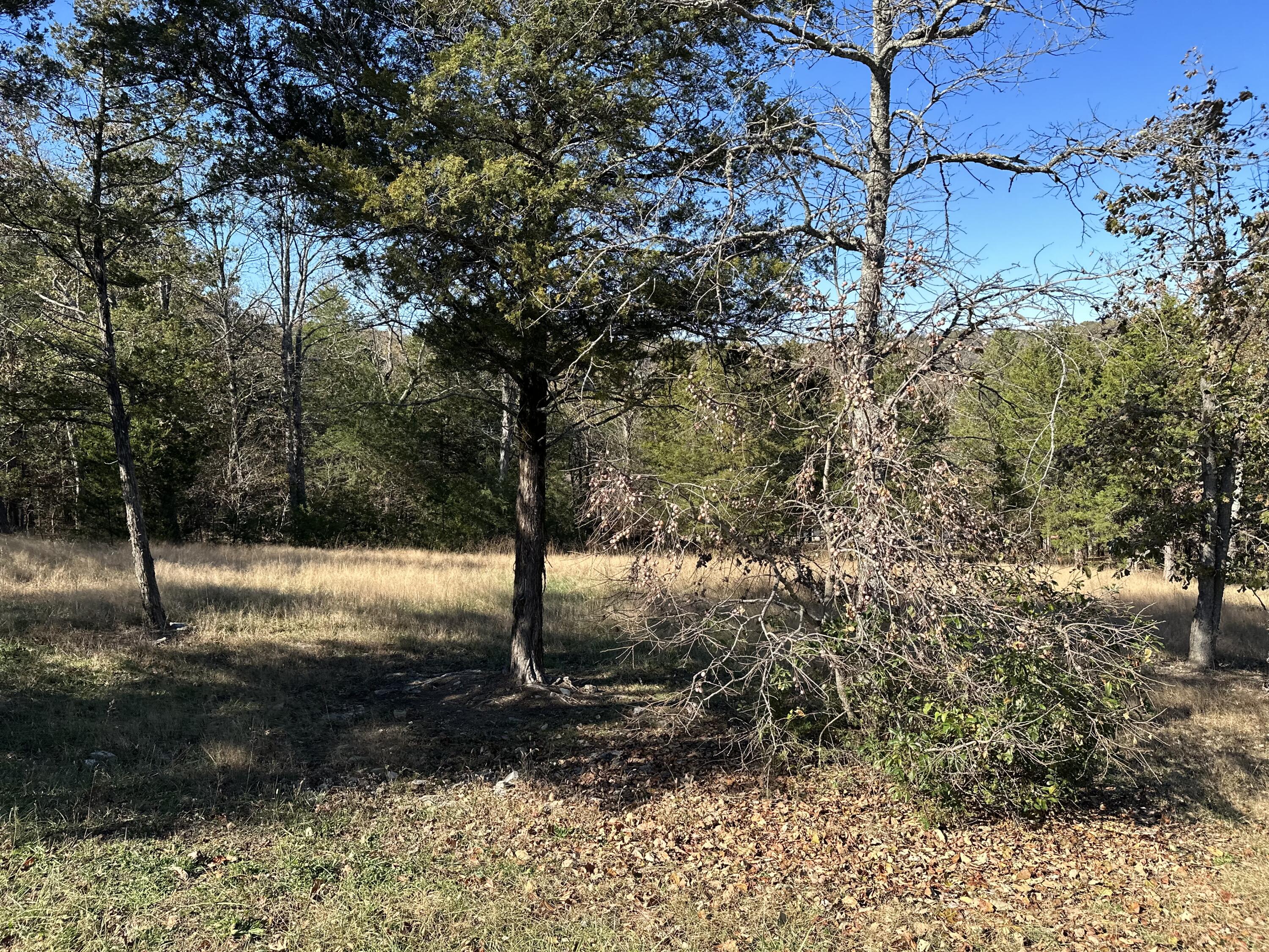 Lot 36 Phase 2 Appaloosa Trail Property Photo