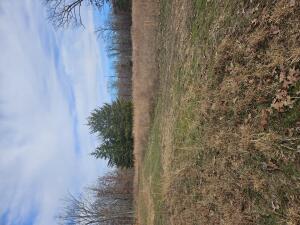 133.10 Ac Styles Road Property Photo