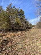 000 Branson Hills Parkway; Tract 1 Property Photo