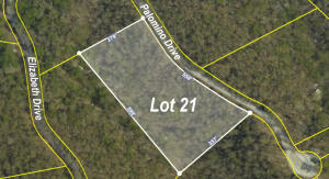 Lot 21 Buckskin Ridge Property Photo 1