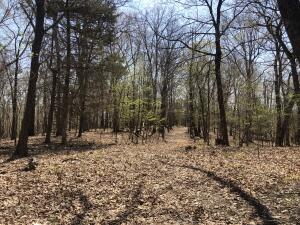 000 355.77 +/- Ac County Road 4053 Property Photo 1