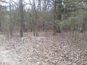 000 Bisbee Acres Property Photo 1