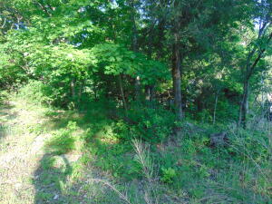 Lot 16 Lakewood Road Property Photo