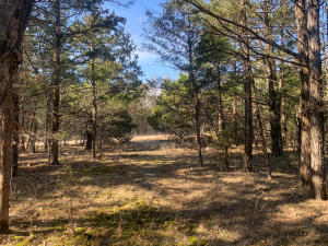 000 Camelot Lot 17 Property Photo