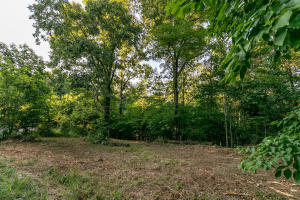Lot 5 Ph 1 Misty River Subdivision Property Photo