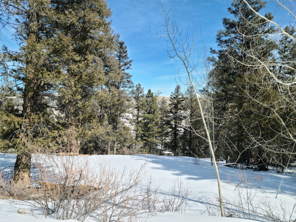 806 Middle Fork Property Photo