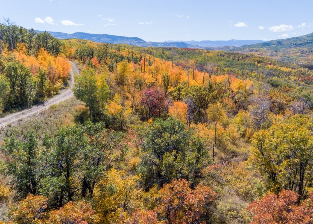 27185 Sundance Trail Property Photo 5