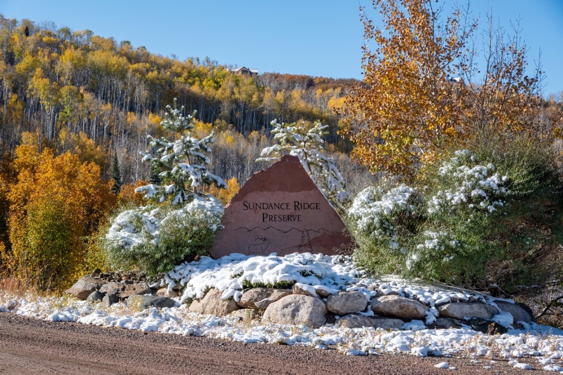 27185 Sundance Trail Property Photo 16