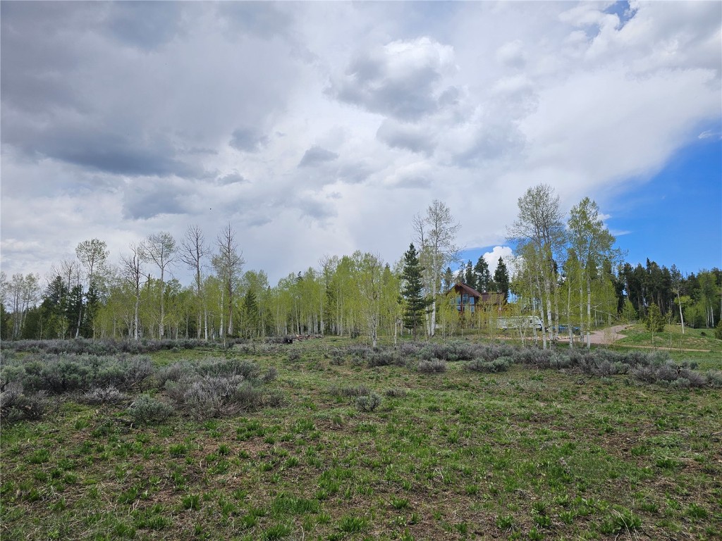 33636 Seneca Trail Property Photo 5