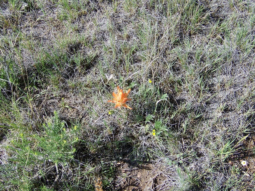 1327 Michigan Hill Road Property Photo 5