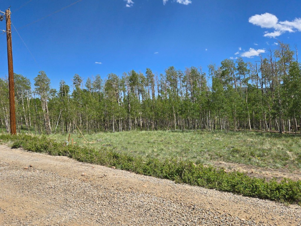 1555 Sheep Ridge Road Property Photo