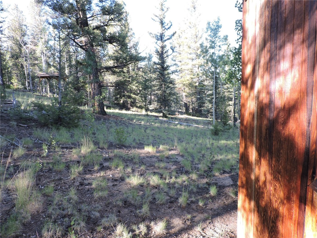 1114 Crooked Rock Path Property Photo 3