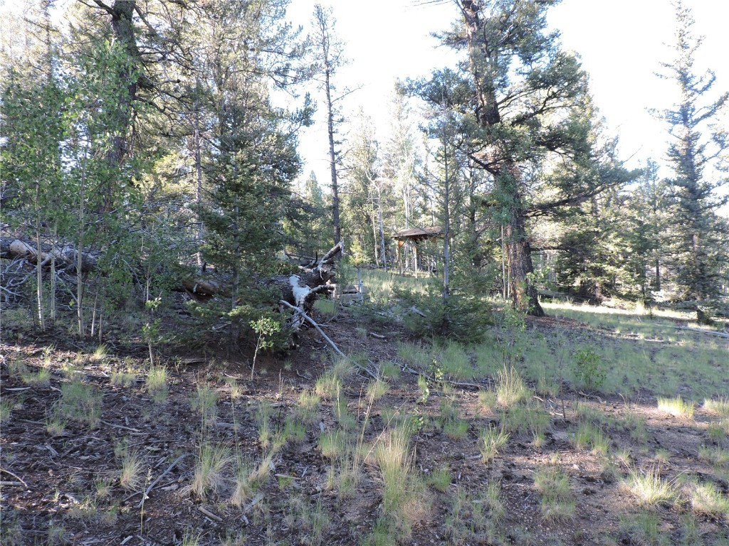 1114 Crooked Rock Path Property Photo 4