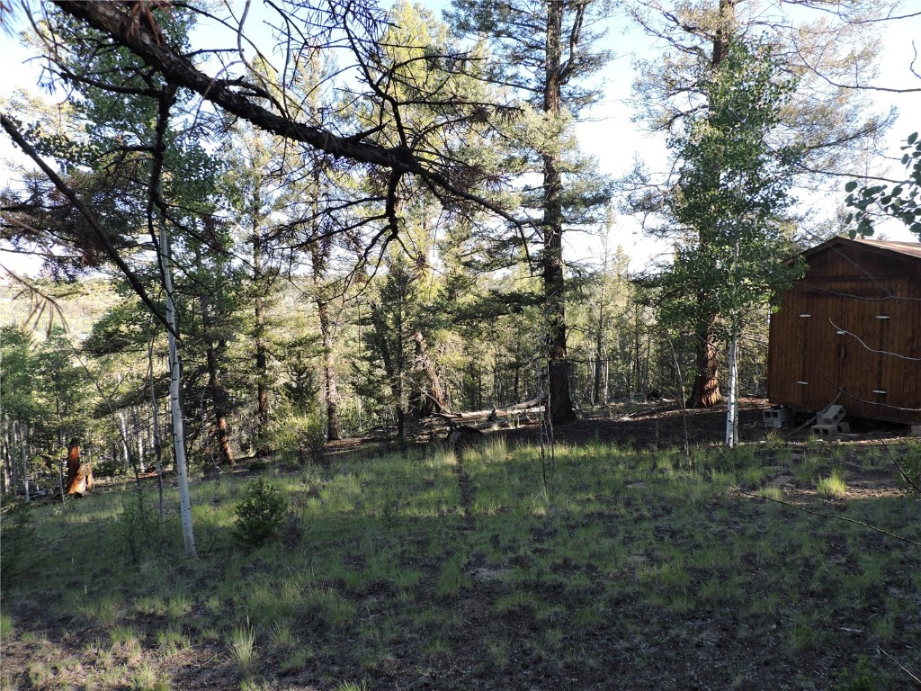 1114 Crooked Rock Path Property Photo 5