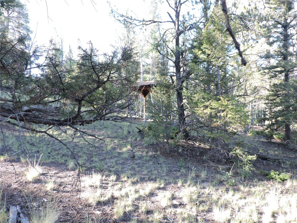 1114 Crooked Rock Path Property Photo 6