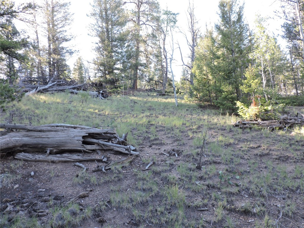 1114 Crooked Rock Path Property Photo 9
