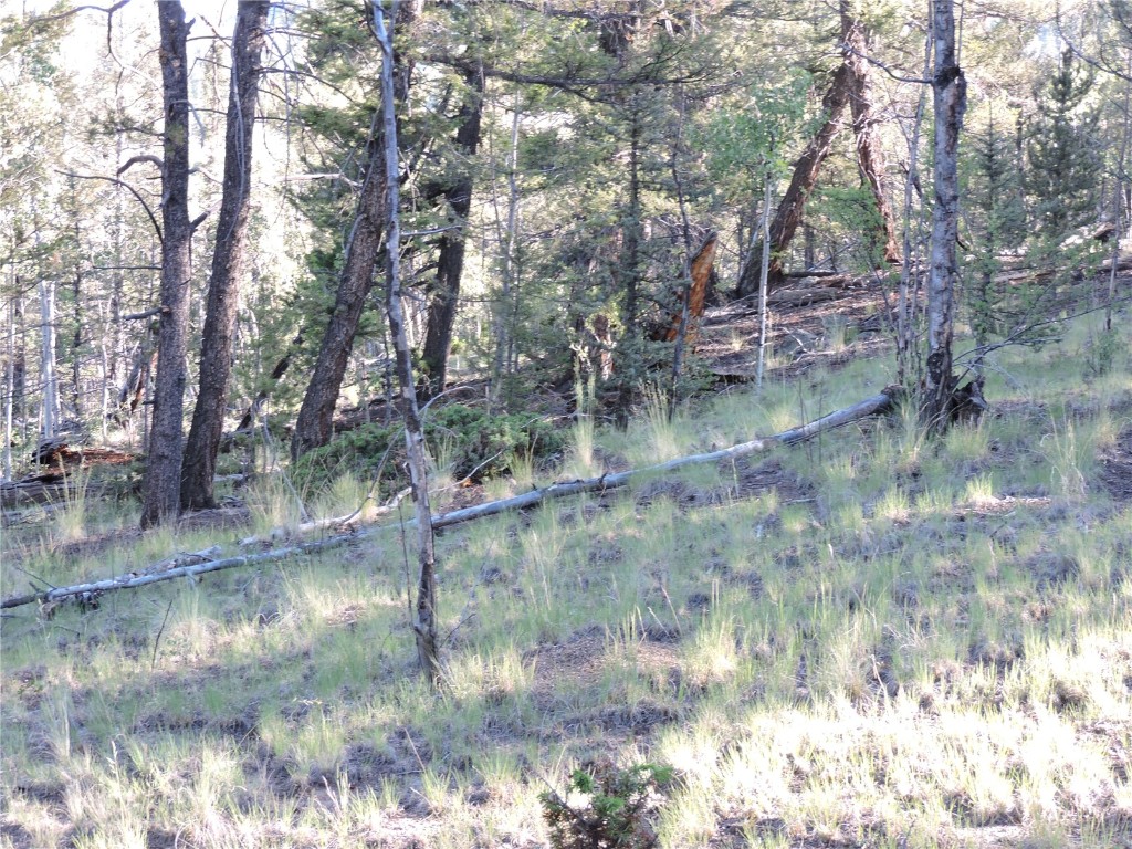 1114 Crooked Rock Path Property Photo 12