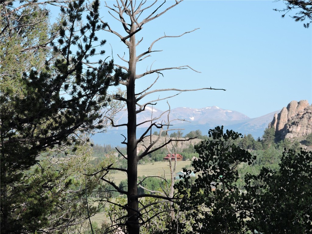 1114 Crooked Rock Path Property Photo 14