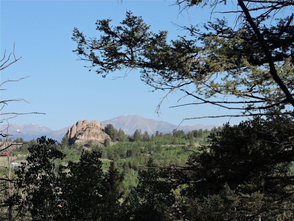 1114 Crooked Rock Path Property Photo 16