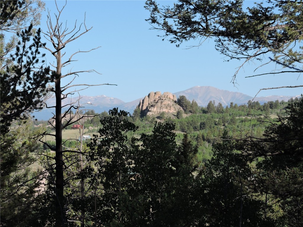 1114 Crooked Rock Path Property Photo 17