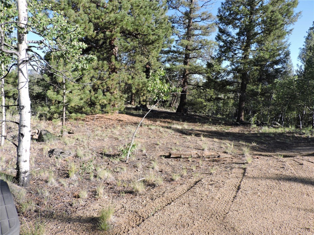 1114 Crooked Rock Path Property Photo 19