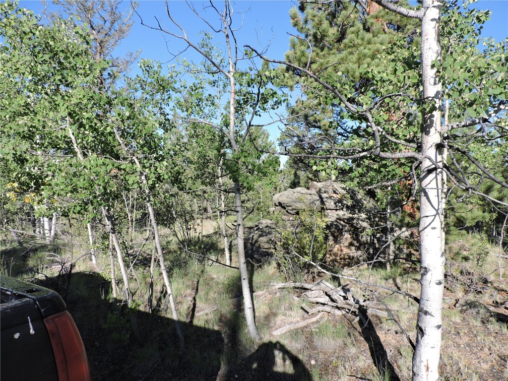 1114 Crooked Rock Path Property Photo 20