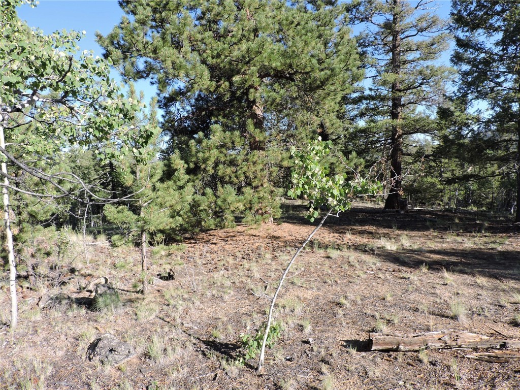 1114 Crooked Rock Path Property Photo 21