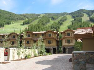 Warm Springs Village Real Estate Listings Main Image