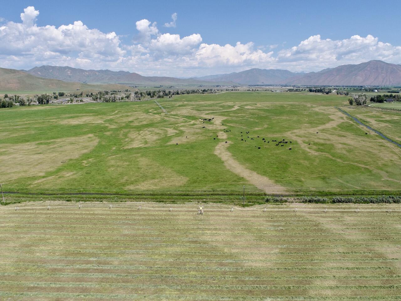 10524 State Highway 75 Property Photo 56