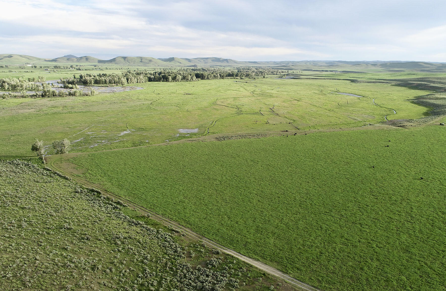 10524 State Highway 75 Property Photo 75