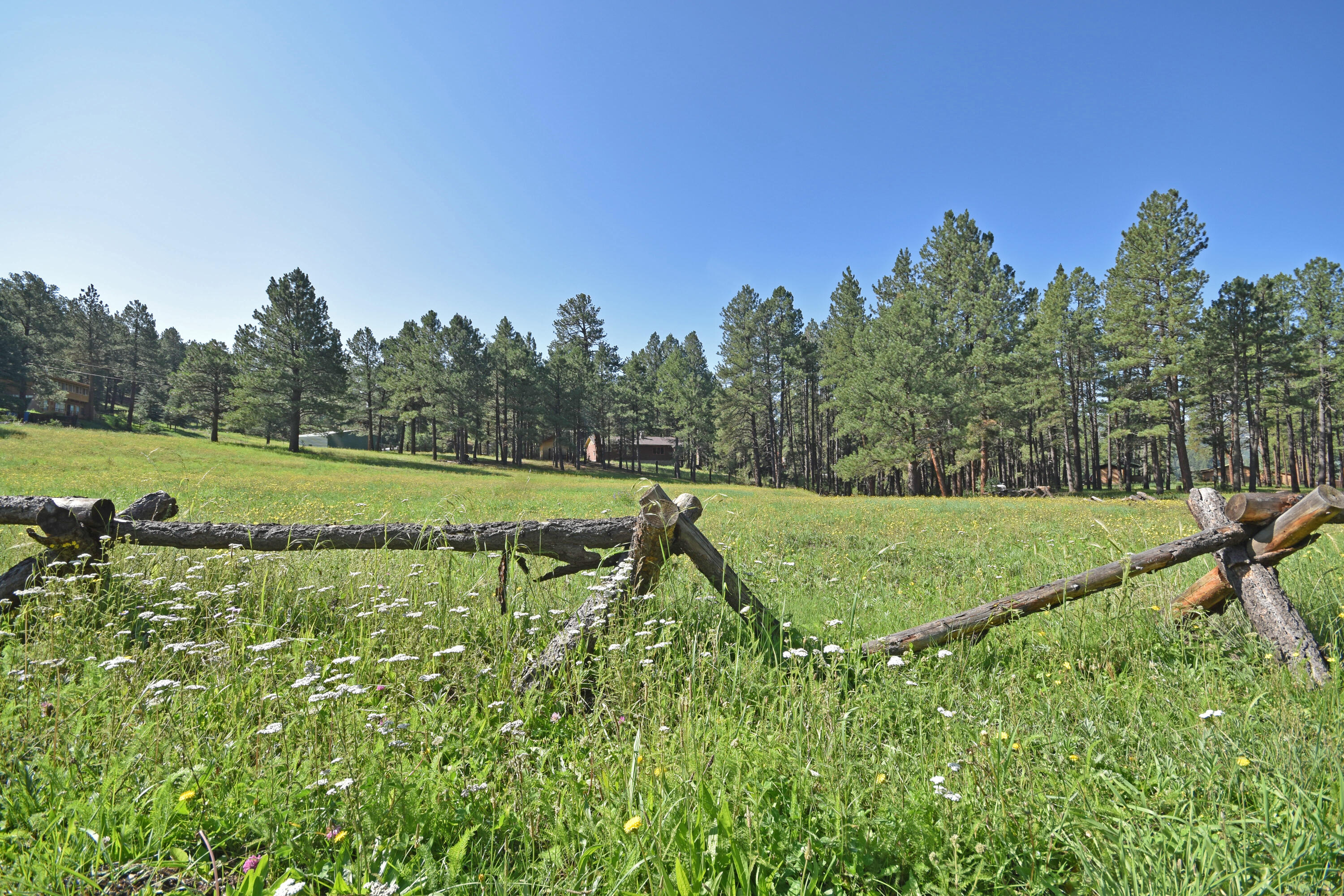 Elk Trail Property Photo