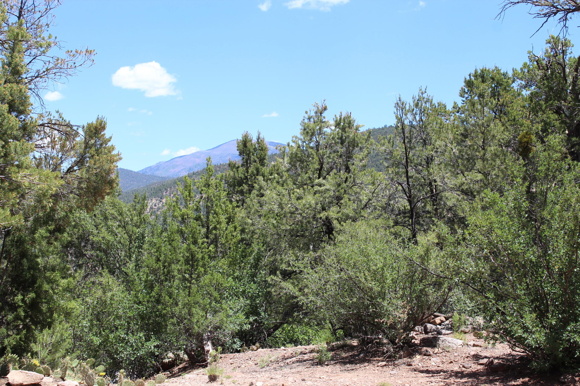 Oso Road Property Photo